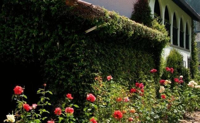 Spanish Villa Inn เซนต์เฮเลนา ภายนอก รูปภาพ